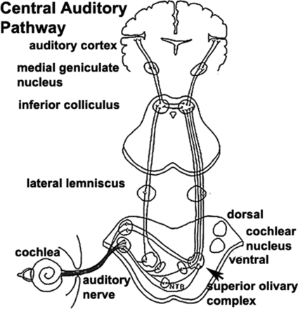 Figure 5