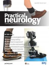 Practical Neurology: 22 (4)